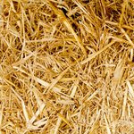 How to fix “No bootable device” after Ubuntu installation