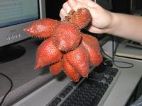 Weird fruit